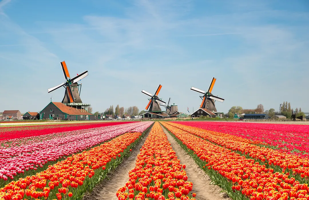 Holiday Inn The Hague - Voorburg By Ihg-1
